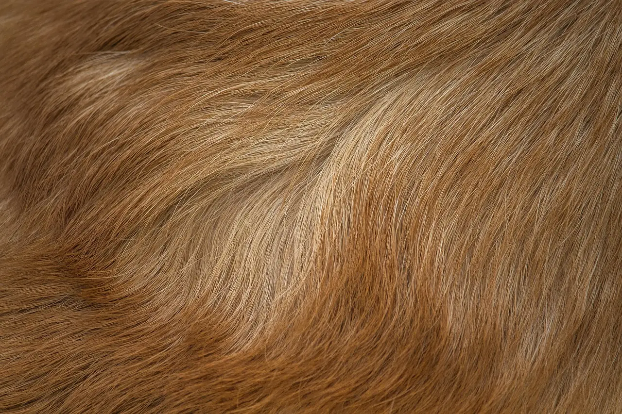 Unilever is elevating its R&D hair care game in 2026. Here’s how…